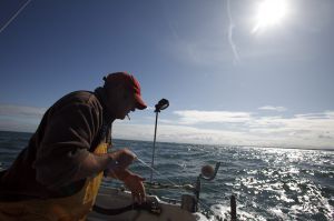 1003_barfleur_090925_3418_800pix_160K.jpg