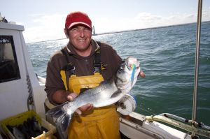 1004_barfleur_090925_3450_800pix_160K.jpg